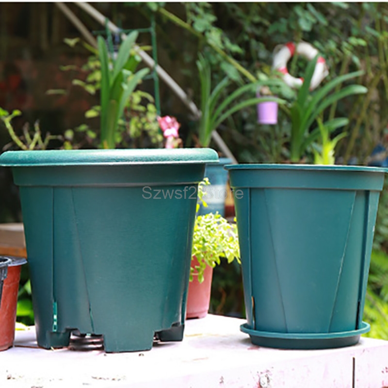 5/10pcs Green Plastic Plant Fl - Aloe Vera Pot avaliação e preço