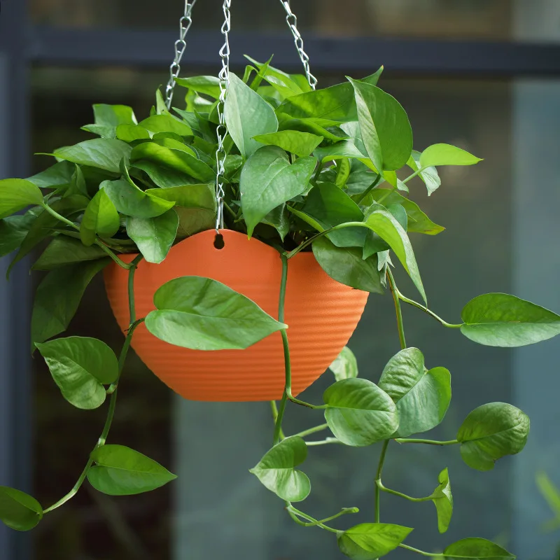 Plastic hanging basket flower  - Spider Plant Hanging avaliação e preço