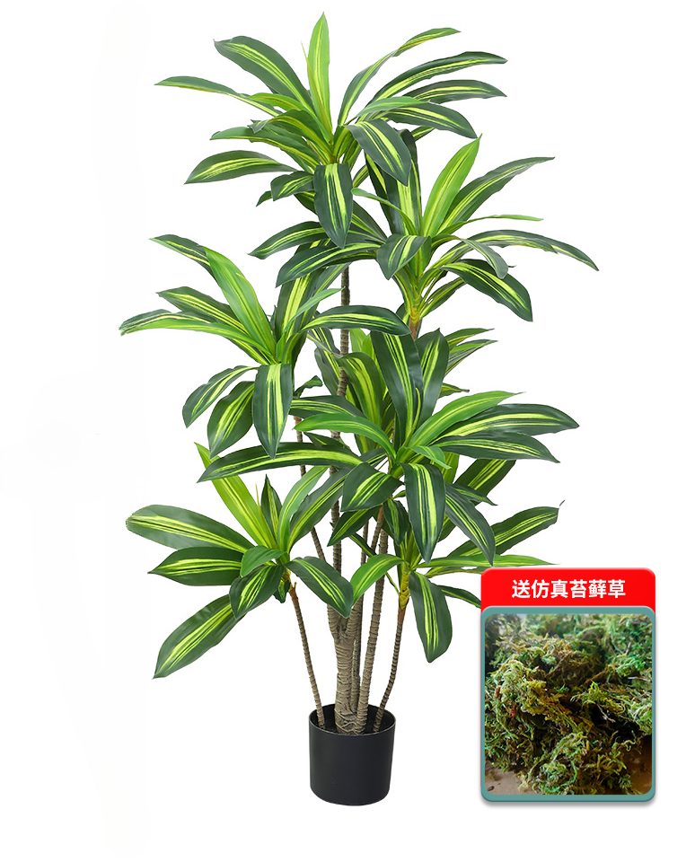 Nordic Wind Large Simulation P - Dracaena Marginata avaliação e preço