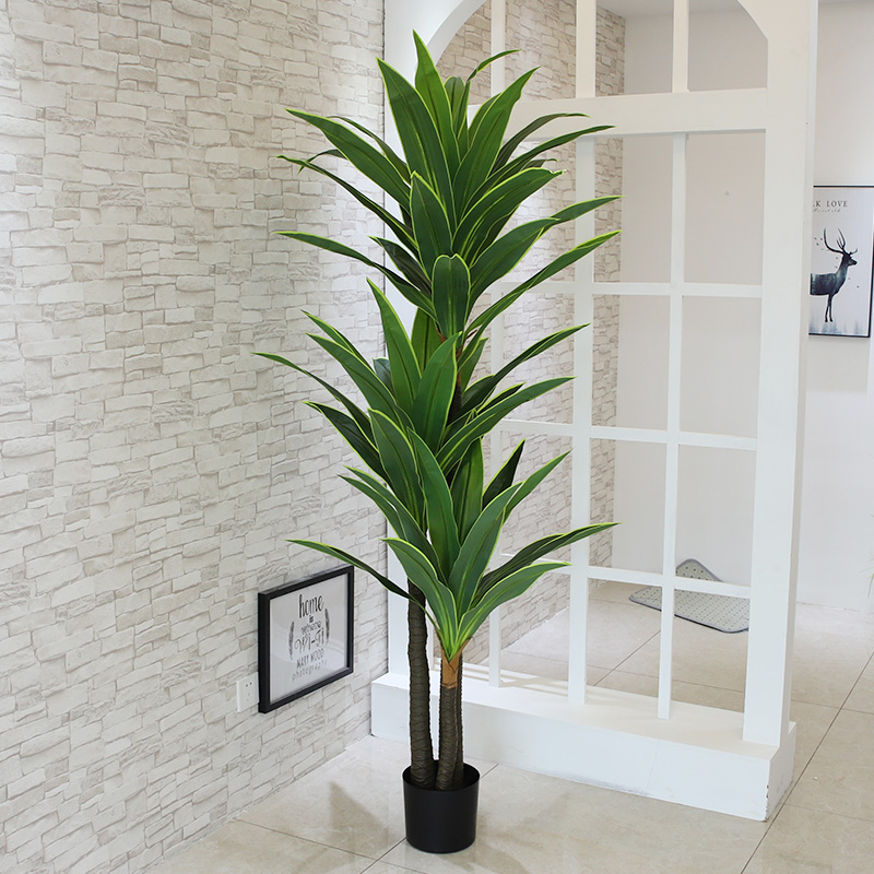 Nordic Wind Large Simulation P - Dracaena Marginata avaliação e preço