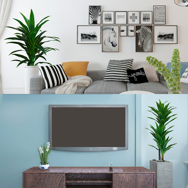 Nordic Wind Large Simulation P - Dracaena Marginata avaliação e preço